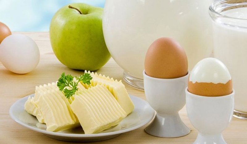 Результаты яичной диеты