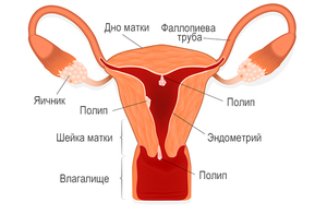 Симптомы патологии