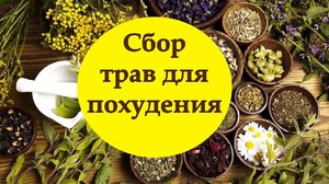 Слабительные травы для похудения Слабительный сбор трав