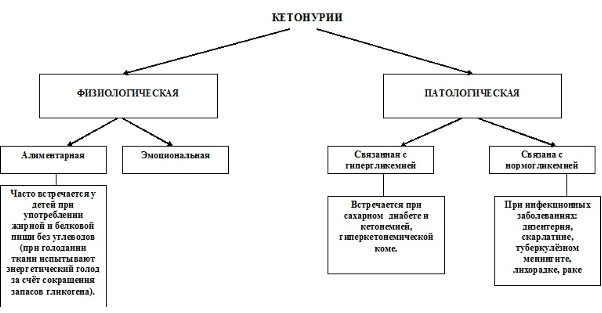 Кетонурия