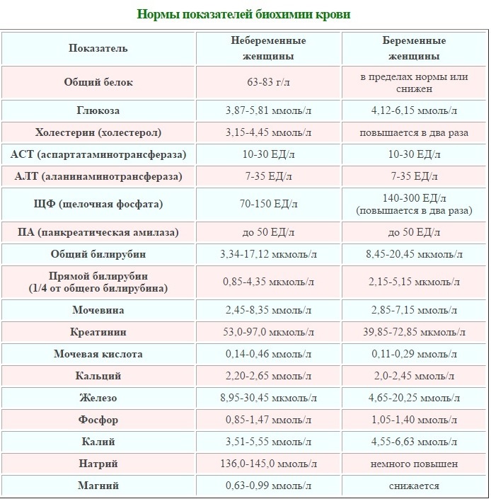 Нормы биохимического анализа крови у беременных: таблица