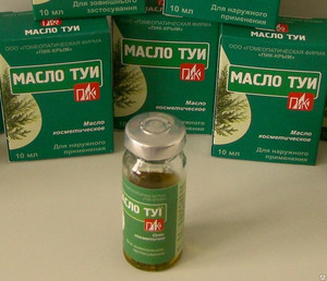 Туя - вечнозеленый кустарник или дерево семейства кипарисовых