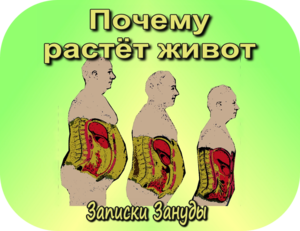 Почему откладывается жир на животе Как убрать лишний жир