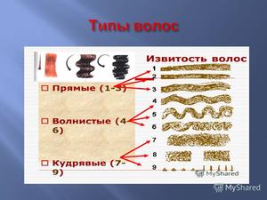 Уход за жирными волосами Как ухаживать за сухими волосами