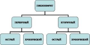 Разновидности пиелонефрита Виды пиелонефрита