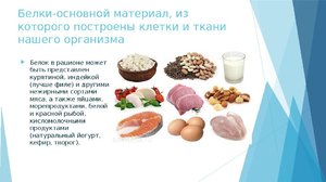Витаминно-белковая диета