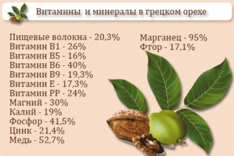 Витамины и микроэлементы грецкго ореха