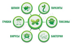 Влияние токсинов и шлаков на организм. Диеты для очищения кишечника Влияние токсинов и шлаков на организм