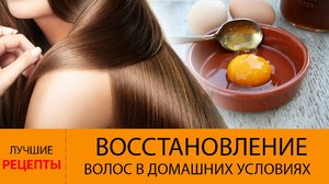 Восстановление волос в домашних условиях Восстановление волос дома