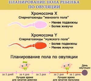 Наилучшие позы для зачатия ребенка Как выбрать позу