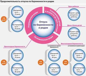 Как рассчитываются декретные Выплаты декретных