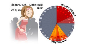 Как вызвать месячные