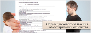 Заявление на алименты гражданский брак образец Заявление на алименты